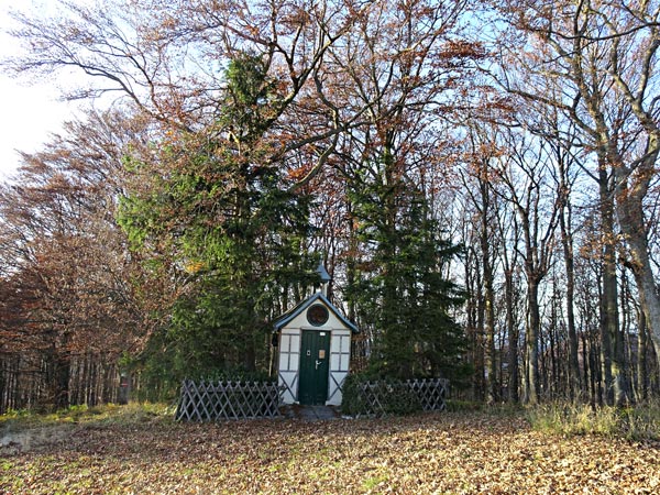 Kieneck Muggendorf Thal Enzianhütte Enziansteig Matrassteig Viehgraben Wandern Wanderung Natur Wald Aussicht Gipfel Gipfelkreuz Gutensteiner Alpen Niederösterreich