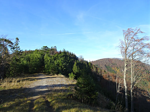 Kieneck Muggendorf Thal Enzianhütte Enziansteig Matrassteig Viehgraben Wandern Wanderung Natur Wald Aussicht Gipfel Gipfelkreuz Gutensteiner Alpen Niederösterreich