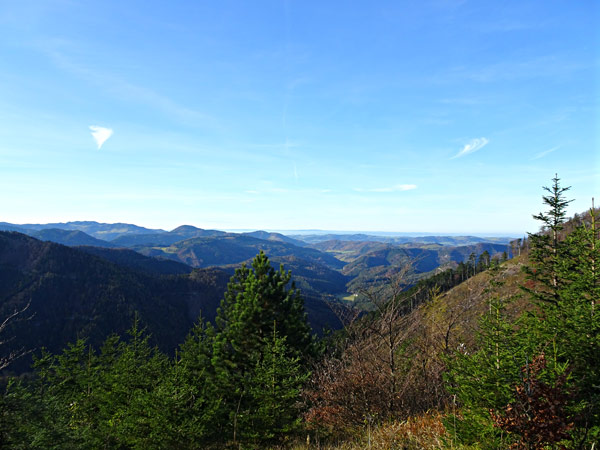 Kieneck Muggendorf Thal Enzianhütte Enziansteig Matrassteig Viehgraben Wandern Wanderung Natur Wald Aussicht Gipfel Gipfelkreuz Gutensteiner Alpen Niederösterreich