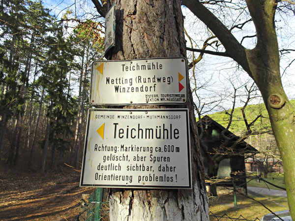 Winzendorf Niederösterreich Wandern Wanderung Rundwanderung Rundwanderweg Steinernes Bankerl Aussicht Wald Waldandacht Natur Bewegung