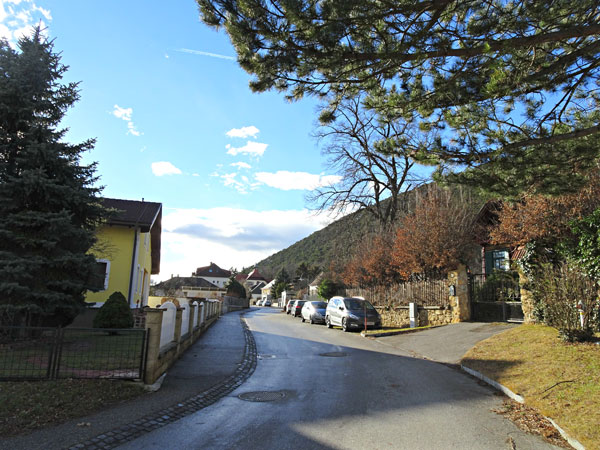 Winzendorf Niederösterreich Wandern Wanderung Rundwanderung Rundwanderweg Steinernes Bankerl Aussicht Wald Waldandacht Natur Bewegung