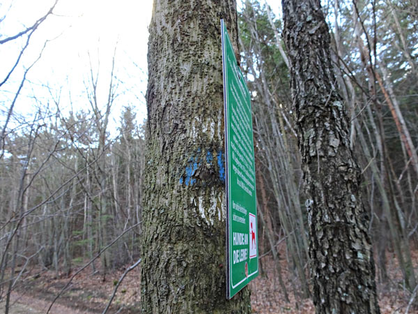 Winzendorf Niederösterreich Wandern Wanderung Rundwanderung Rundwanderweg Steinernes Bankerl Aussicht Wald Waldandacht Natur Bewegung