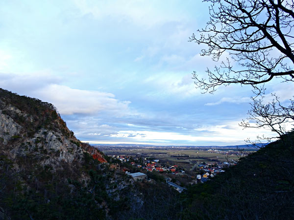 Winzendorf Niederösterreich Wandern Wanderung Rundwanderung Rundwanderweg Steinernes Bankerl Aussicht Wald Waldandacht Natur Bewegung