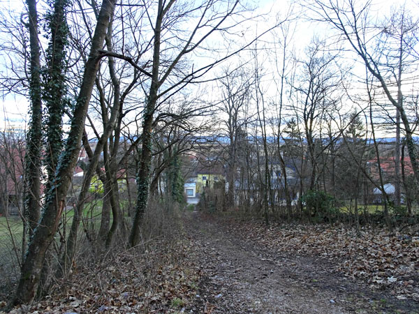 Winzendorf Niederösterreich Wandern Wanderung Rundwanderung Rundwanderweg Steinernes Bankerl Aussicht Wald Waldandacht Natur Bewegung