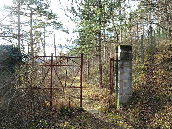 Winzendorf Niederösterreich Wandern Wanderung Rundwanderung Rundwanderweg Steinernes Bankerl Aussicht Wald Waldandacht Natur Bewegung