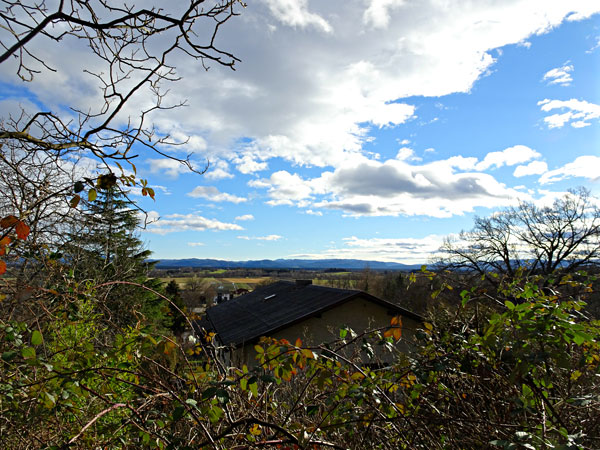 Winzendorf Niederösterreich Wandern Wanderung Rundwanderung Rundwanderweg Steinernes Bankerl Aussicht Wald Waldandacht Natur Bewegung