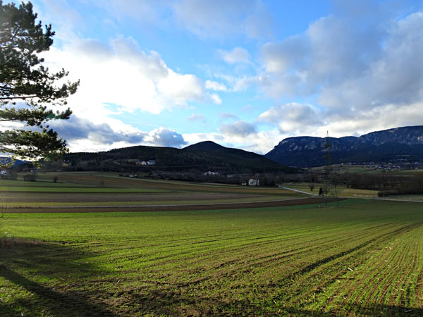 Winzendorf Niederösterreich Wandern Wanderung Rundwanderung Rundwanderweg Steinernes Bankerl Aussicht Wald Waldandacht Natur Bewegung