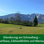 Wanderung am Schneeberg – Almreserlhaus, Edelweißhütte und Mamauwiese