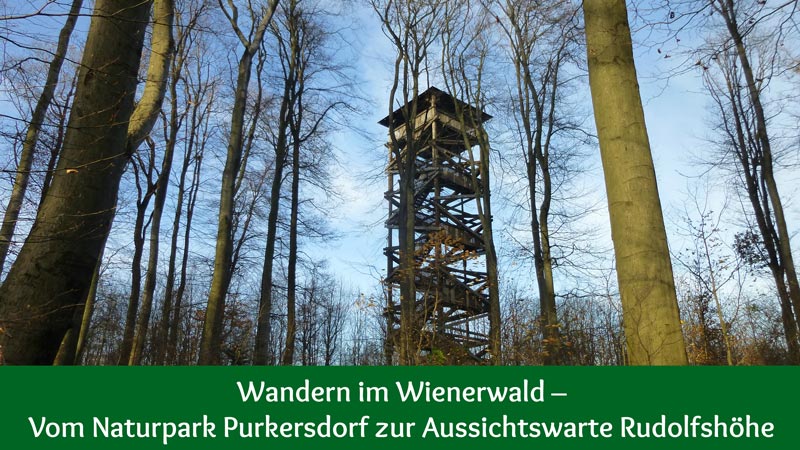 Naturpark Purkersdorf Wienerwald Tiergehege Tiere Aussicht Aussichtsturm Wandern Wanderung Niederösterreich