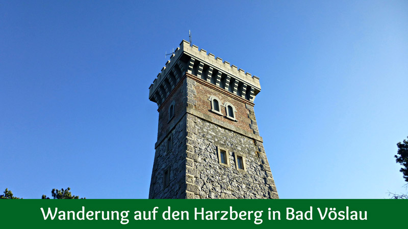 Harzberg Wandern Wanderung Natur Wald Aussicht Aussichtswarte Jubiläumswarte