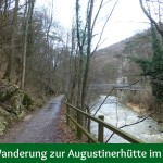 Einfache Wanderung zur Augustinerhütte im Helenental