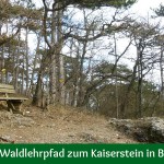 Über den Waldlehrpfad zum Kaiserstein in Bad Vöslau