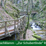 Johannesbachklamm – „Zur Schubertlinde“ Runde Wü4