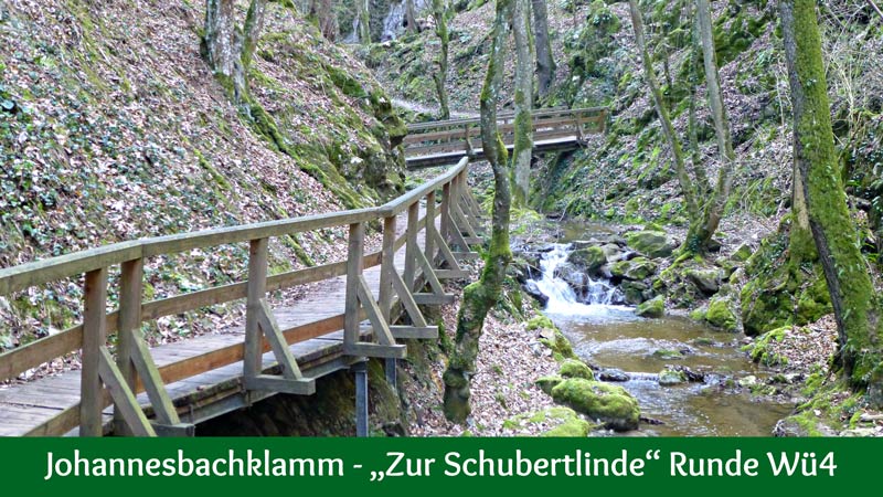 Johannesbachklamm Würflach Zur Schubertlinde Wü4 Wanderung Wandern Natur Klamm Wasser Wald Aussicht Berimoasterkreuz