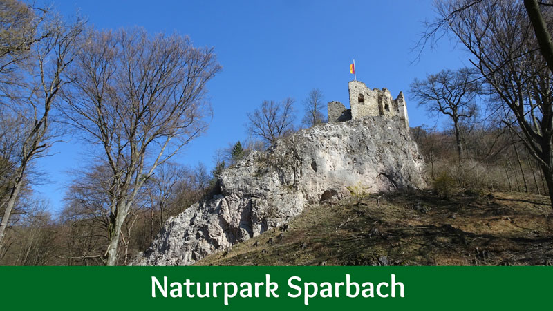 Naturpark Sparbach Wienerwald Wandern Wanderung Niederösterreich Ruine Tiere Streichelzoo Park Wald Natur Aussicht