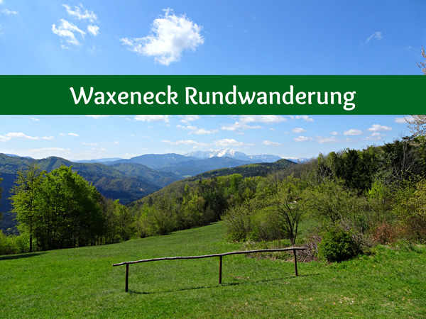 Waxeneck Rundwanderung Waxeneckhaus Wandern Wanderung Aussicht Schneeberg Feichtenbach Sanatorium Wald Natur