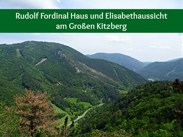 Rudolf Fordinal Haus Elisabethaussicht Großer Kitzberg Wandern Wanderung Niederösterreich Aussicht Waidmannsfeld Pernitz Natur Wald