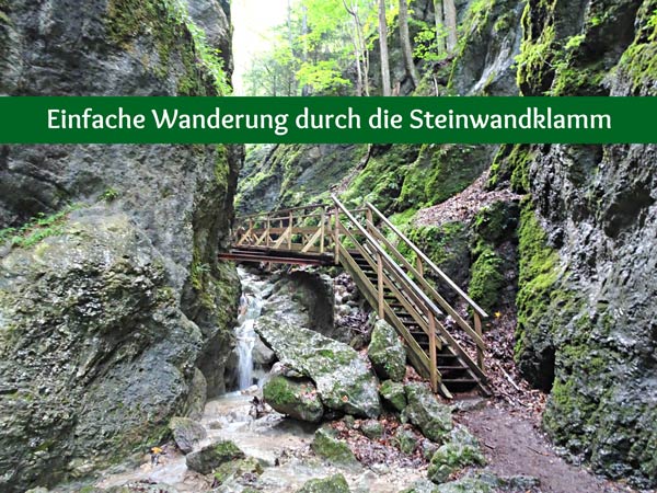 Steinwandklamm Klamm Niederösterreich Furth Triestingtal Wandern Wanderung Höhle Aussicht Natur Wald