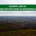 Schöpfl (893 m) – der höchste Berg im Wienerwald